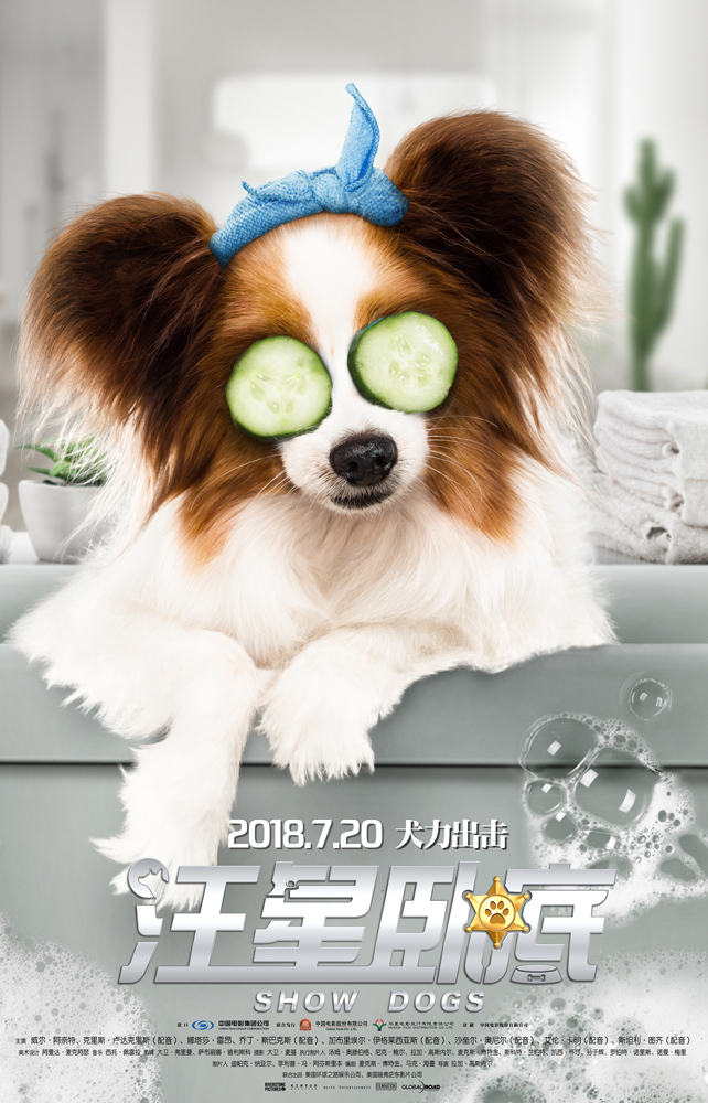 精致蝴蝶犬
