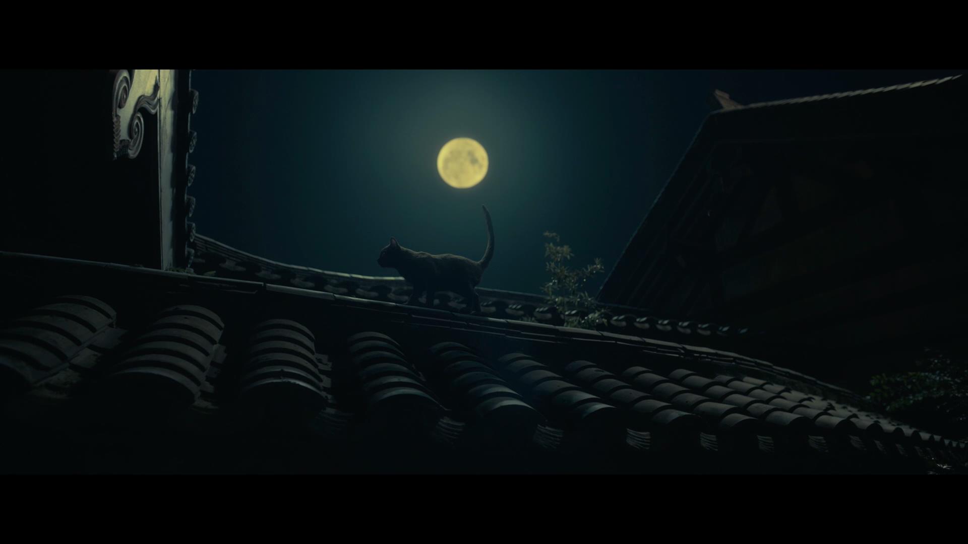 陈凯歌奇幻钜制 妖猫传 今日上映六大看点邀你共赴奇幻盛唐 资讯 光线易视