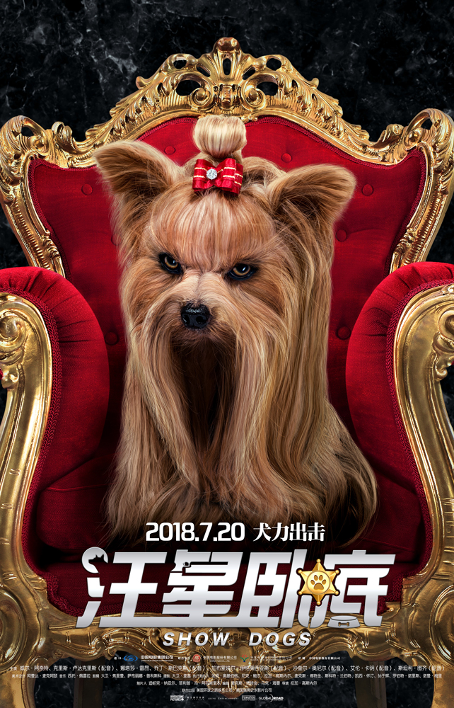 傲娇约克夏犬
