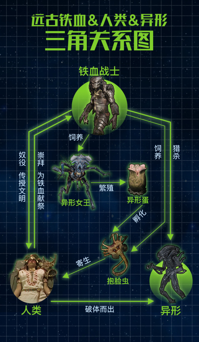 铁血战士关系图