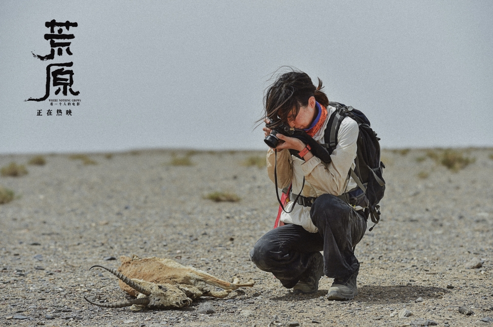 任素汐偶遇黄羊 任素汐偶遇黄羊