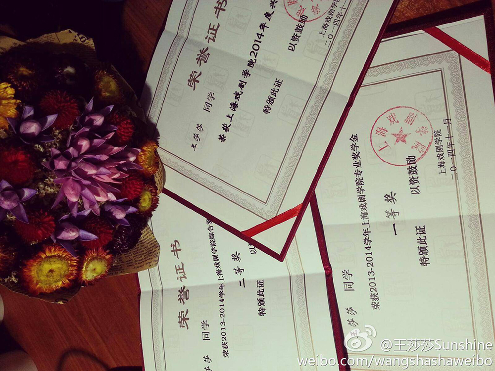 王莎莎4