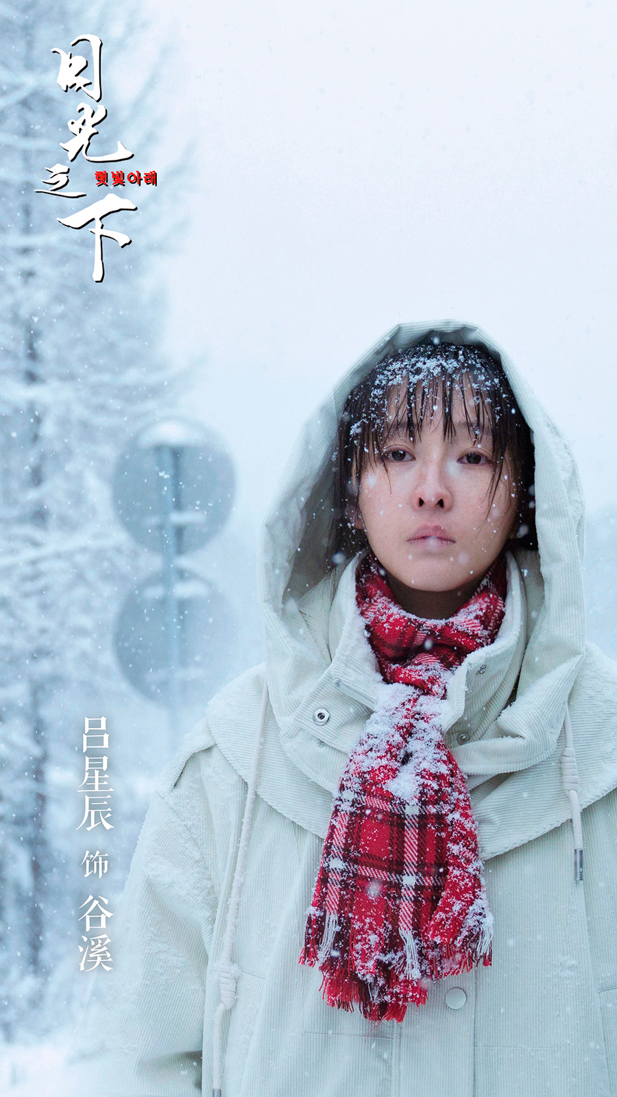 20181210-11 20181210-11